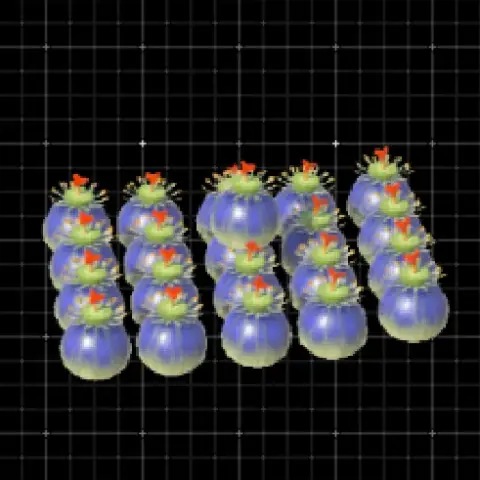 Neatly arranged 21 bombs