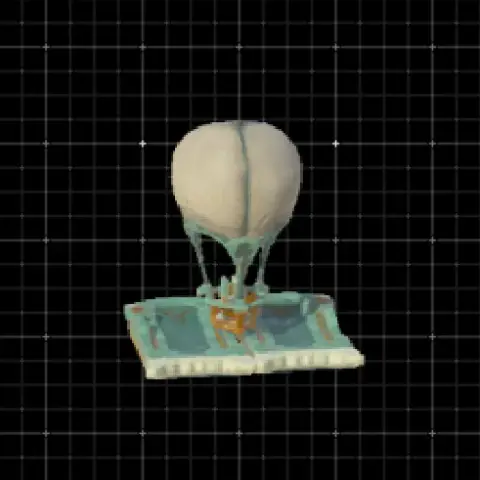 Hot air balloon