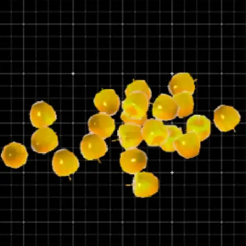 Golden Apple grabber