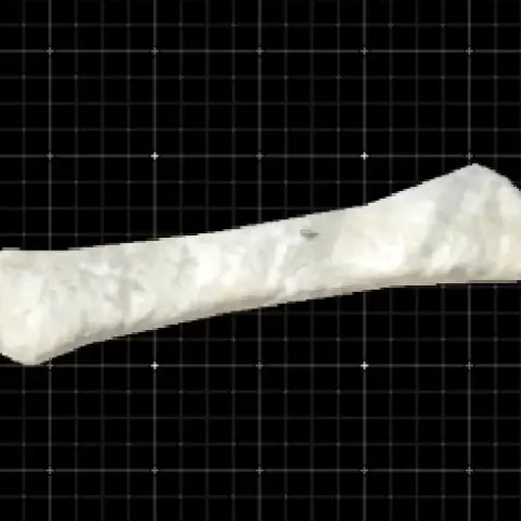 missable whale bone