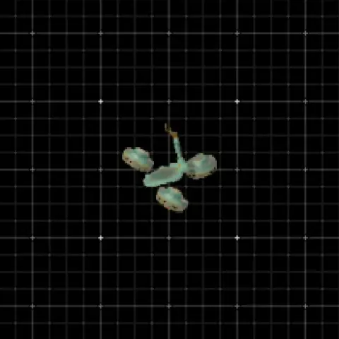 Extra small triwheel