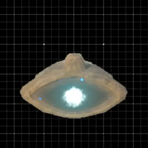 eye
