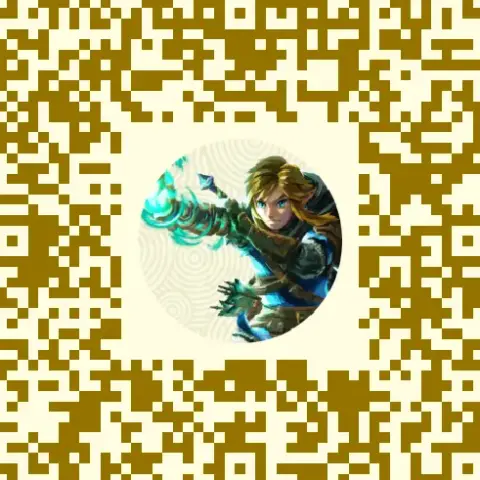 I just need a Hyrule shield